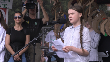 Greta Thunberg bei "Fridays for Future" in Wien